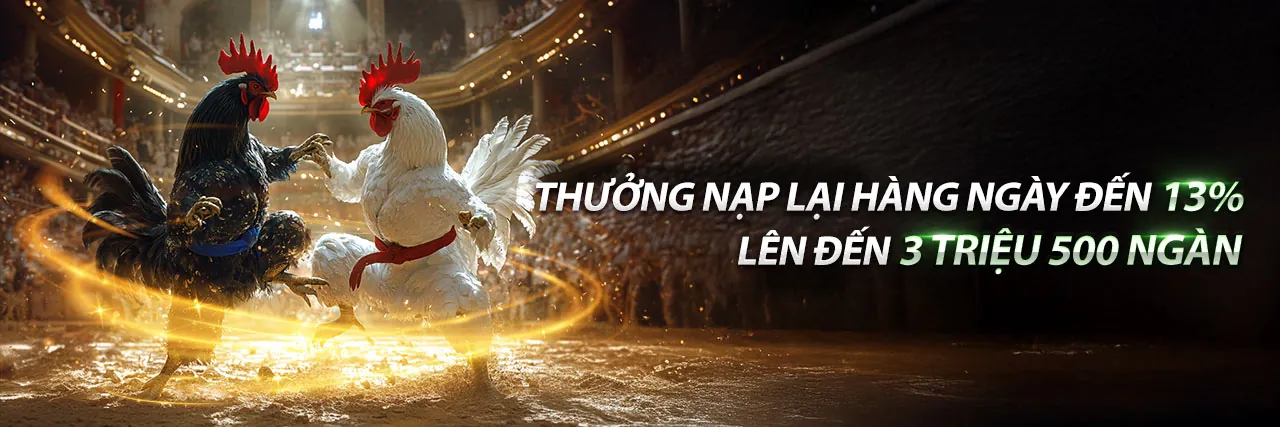 Đá gà trực tuyến kịch tính tại lucky 8 casino
